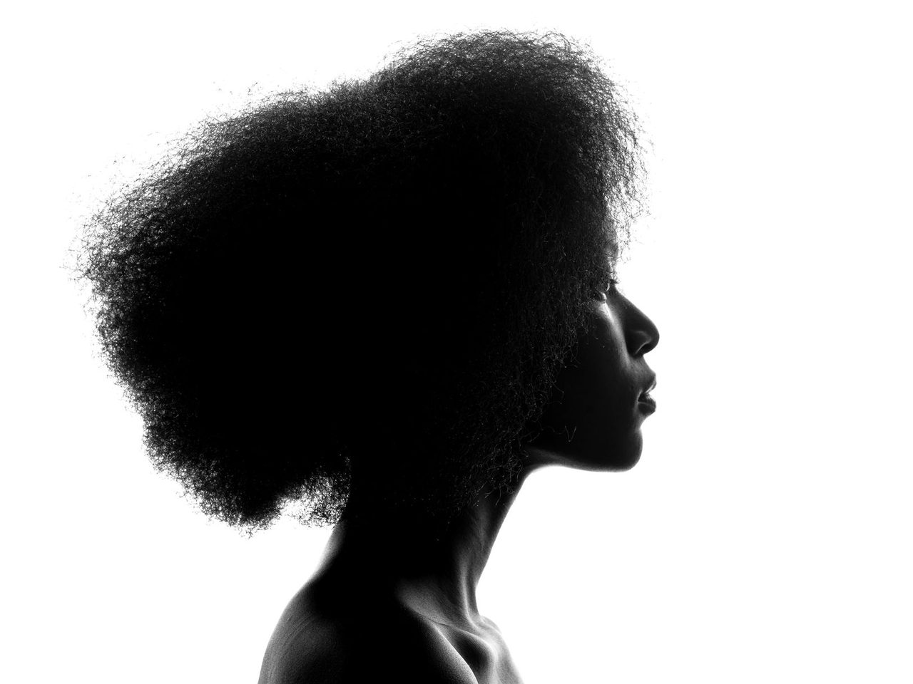 Black and white silhouette of a woman's head and shoulders in profile, showing the rounded shape of her voluminous curly hair.
