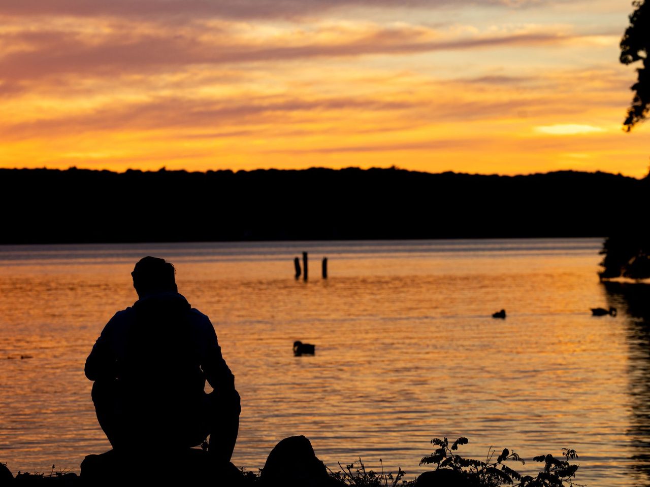 Silhouette of a person sitting on a lakeshore at sunset, with an orange and purple sky reflected on calm water and trees on the far shore.